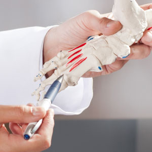 Orthopedics